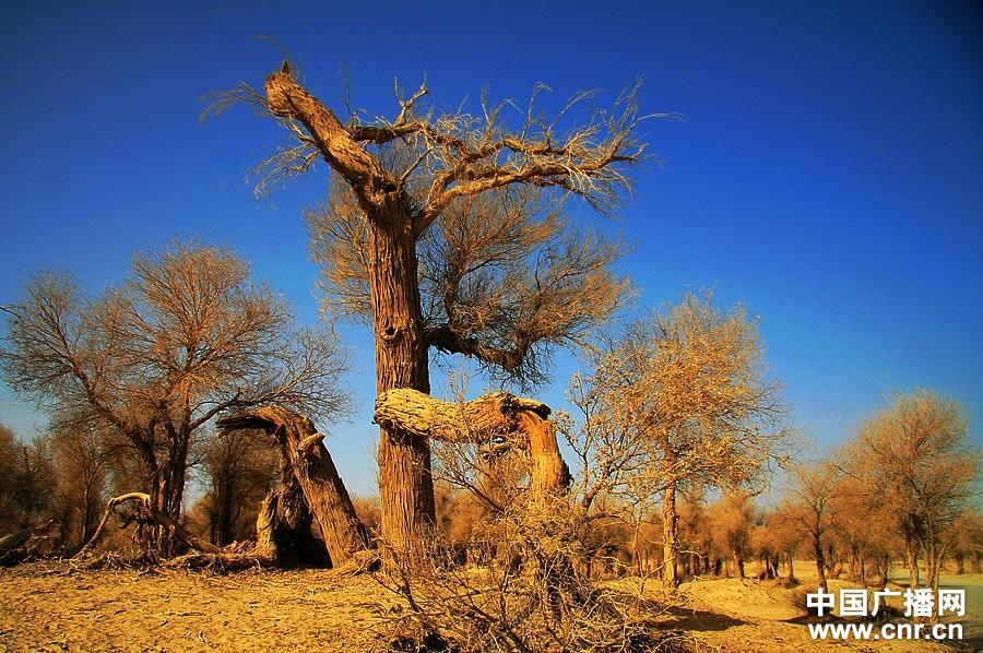 火狐电竞平台_把“转运”翻译成change luck,在外企,同事笑个不停(图1) 火狐电竞平台