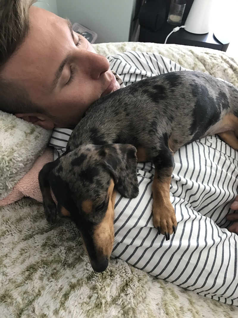 讲谈社《秒速五厘米》、《深红累之渊》等作品网易漫画同步连载_火狐电竞平台(图4) 火狐电竞平台